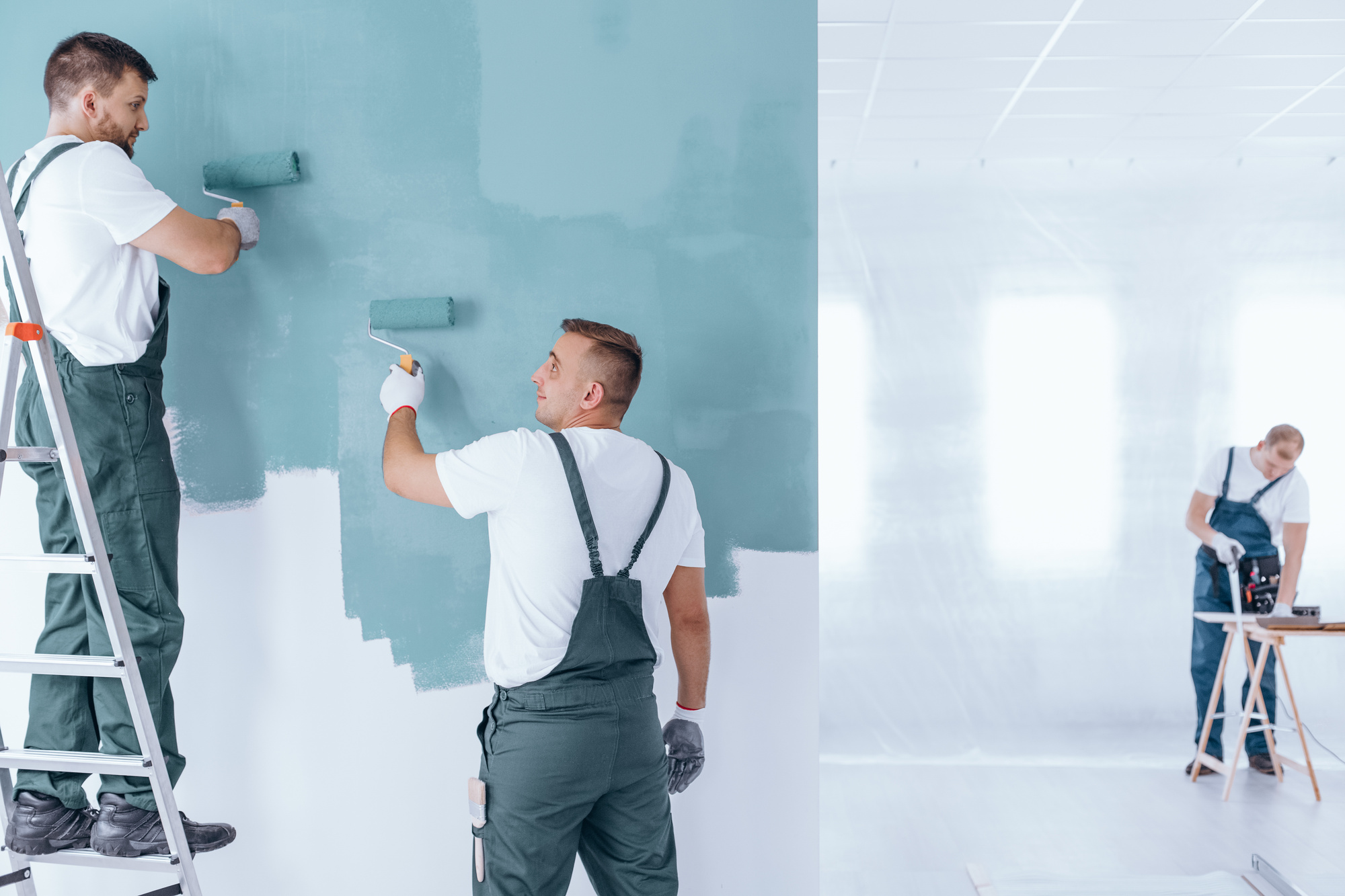 Painting Company in Danielsville Georgia
